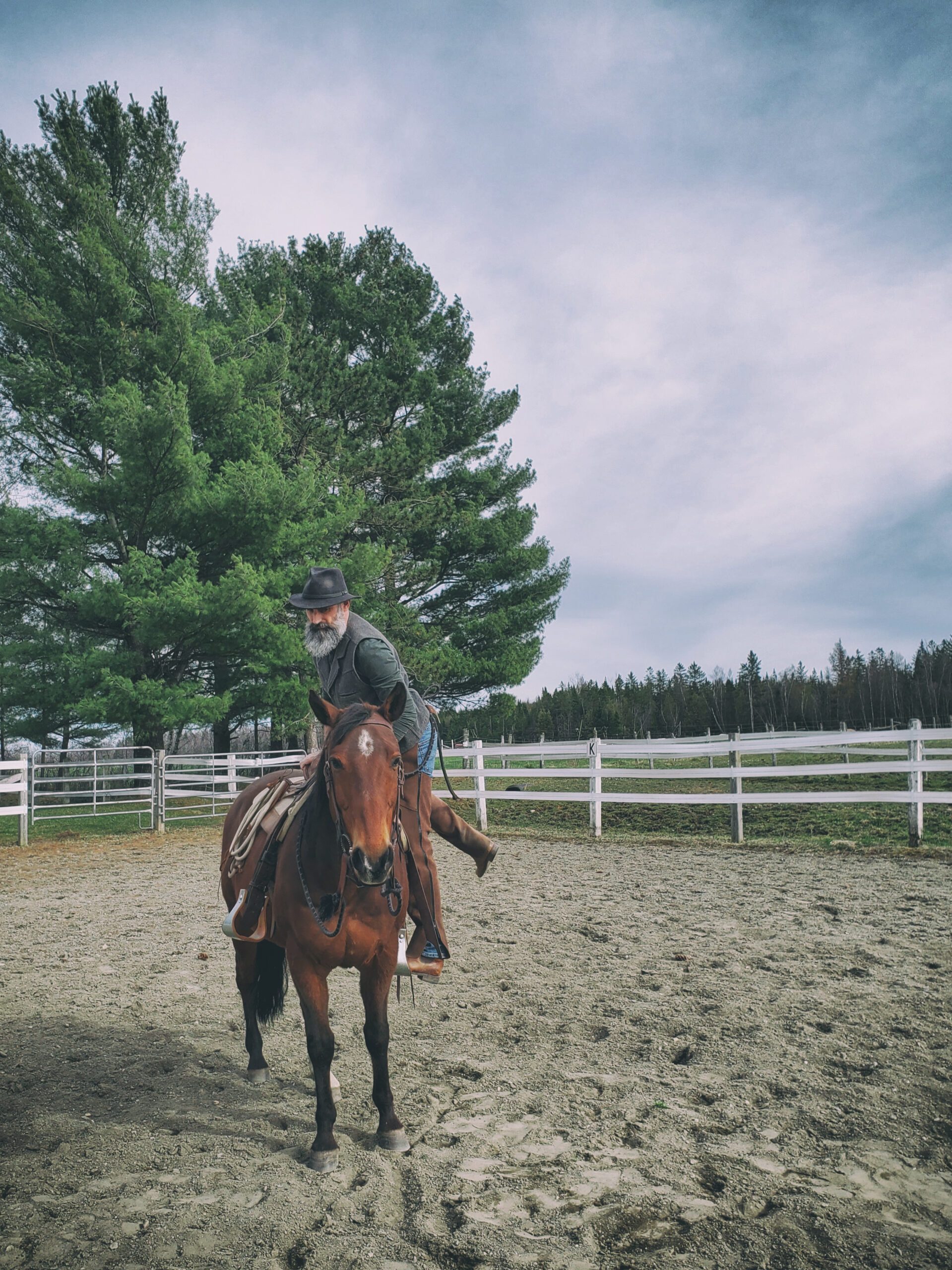 Comment monter à cheval