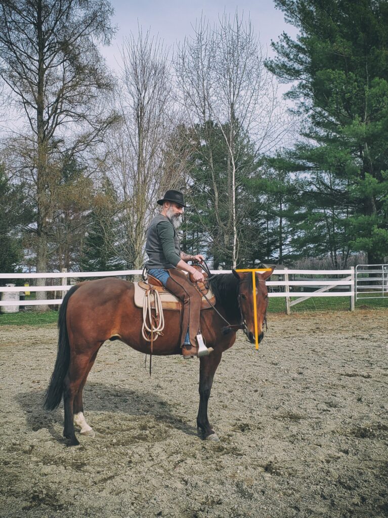 Seat Stop: Positions in the saddle | Natural Horsemanship