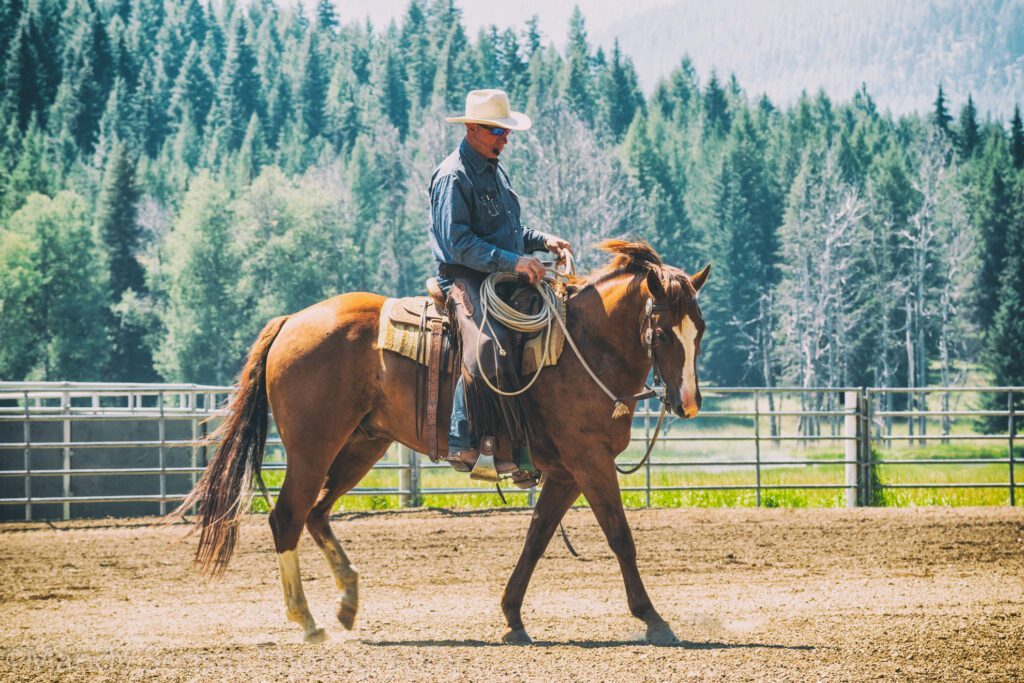 Buck Brannaman natural horsemanship