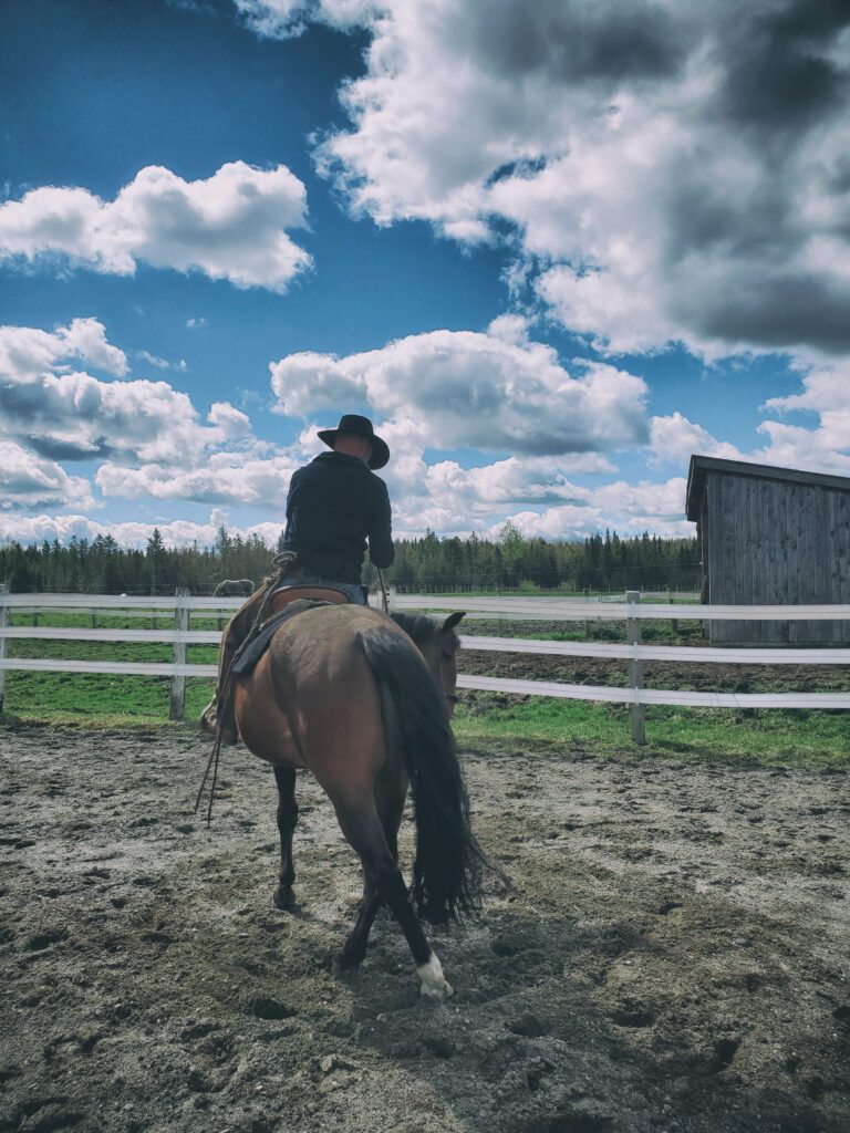 Untracking the Hindquarters | Natural Horsemanship