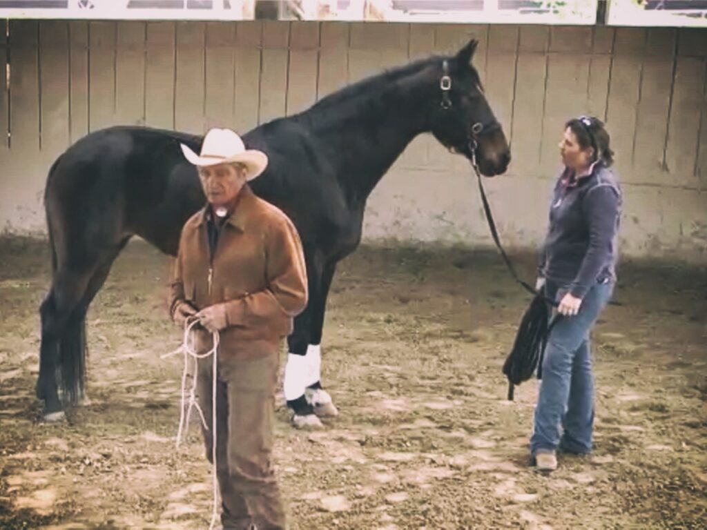 Monty Roberts, bad horseman, good businessman