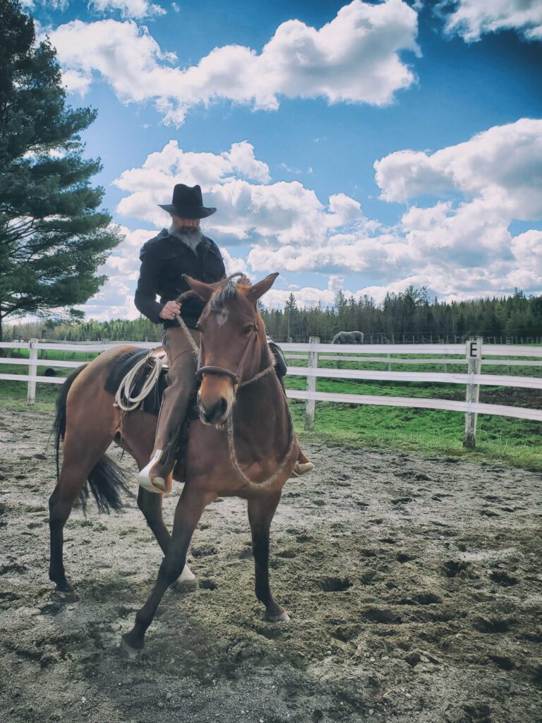 Crossing the Front end | Natural Horsemanship