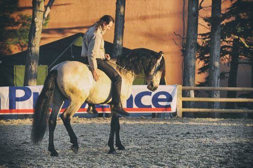 DVD: La Leçon Indispensable de Frédéric et Jean-François Pignon (English subtitles) | Natural Horsemanship