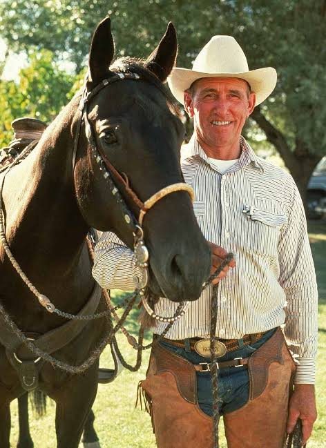 Key principles | Natural Horsemanship