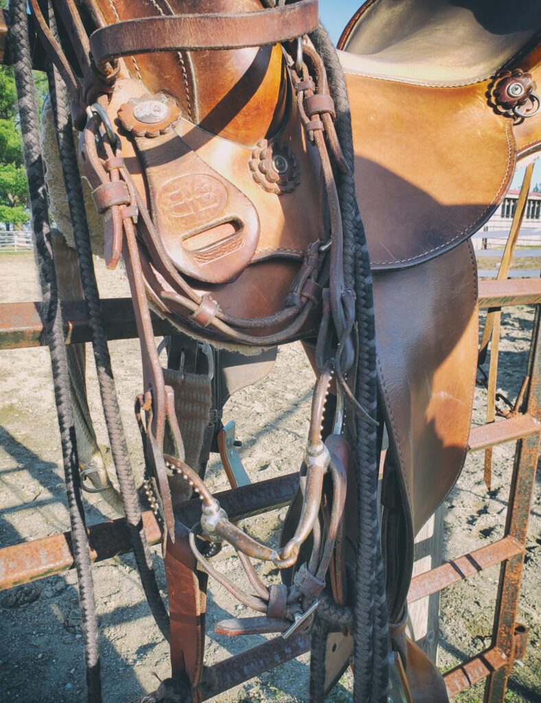 Equipment | Natural Horsemanship