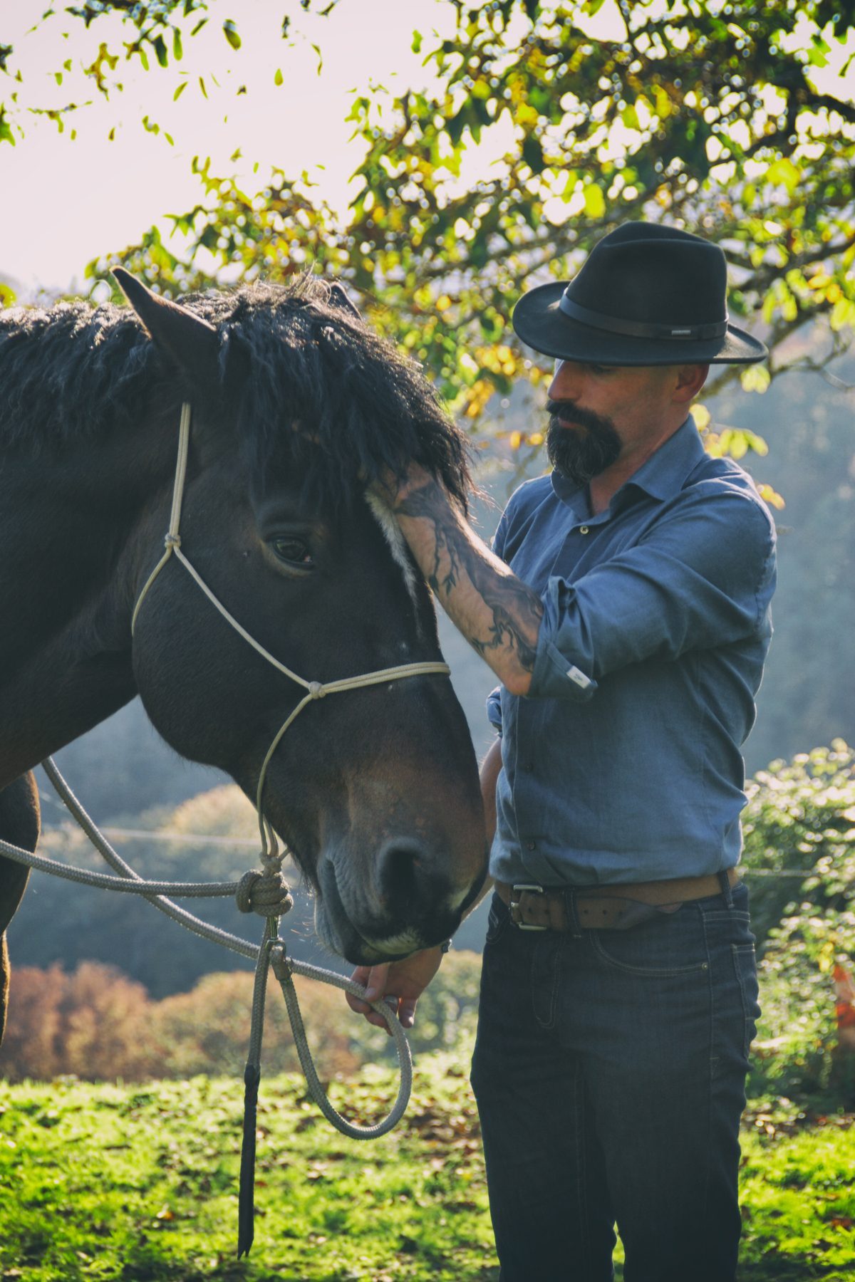 Definition | Natural Horsemanship