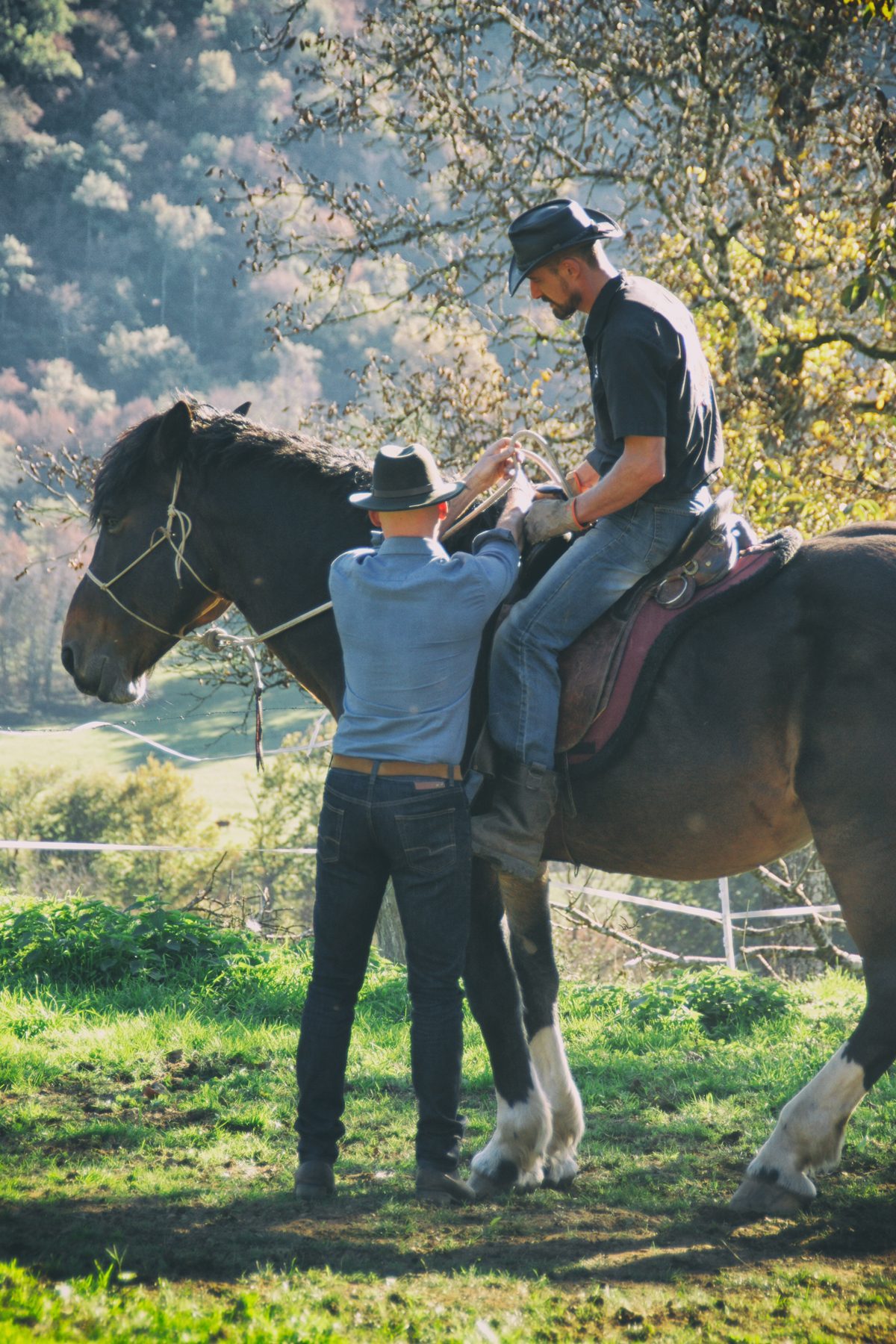 Services | Natural Horsemanship